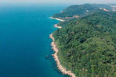 冰球青训计划延伸至西部地区推动项目普及，冰球青少年比赛u系列